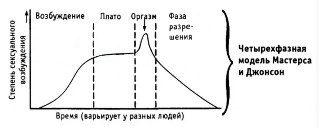 Цикл сексуальных реакций Мастерса и Джонсон